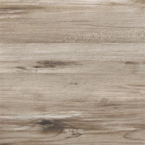 Kitsap by Elite Flooring Distributors - Earth