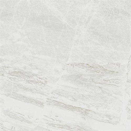 Canice Antique - 12X24