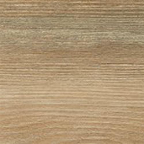 Alvade Plank by Elite Flooring Distributors - Latte 12X47