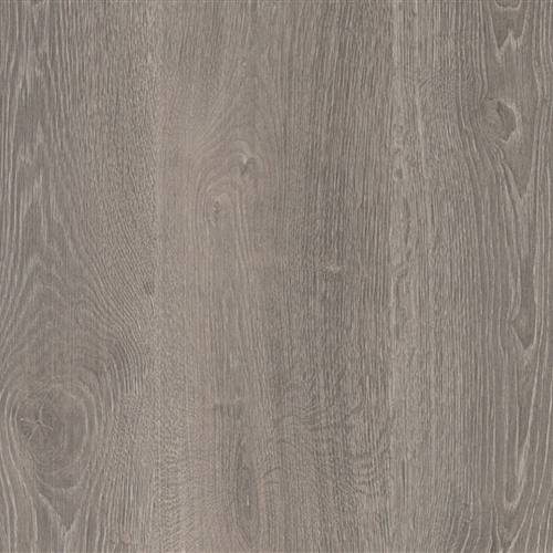 Heilly Oak