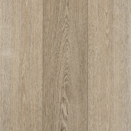 Concorde Oak Spellbound