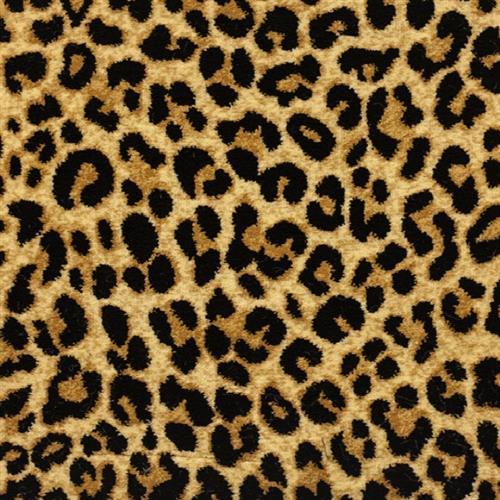 Angora Spotted Leopard 4351