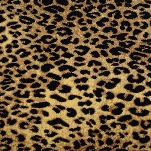 Agile Cheetah