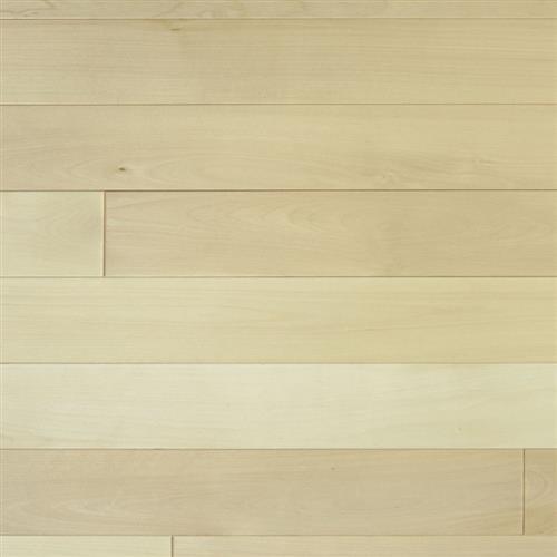 Signature Bsl by Bois Bsl - Yellow Birch Select Grade
