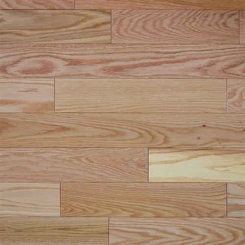 Oak Varnish