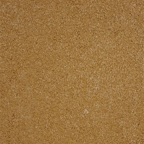 Maple Wood