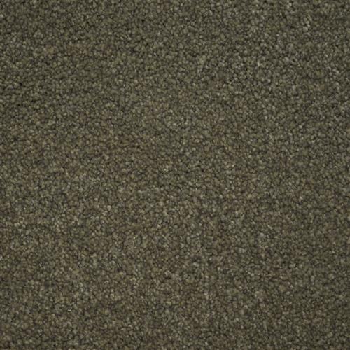 North American Grey
