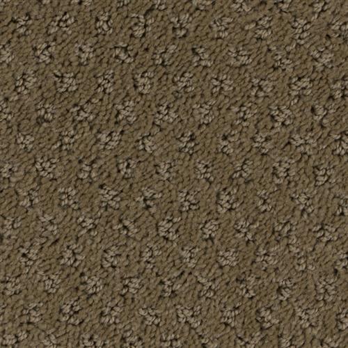 Cabriolet Brown