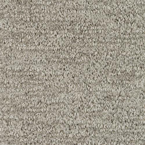 North American Grey