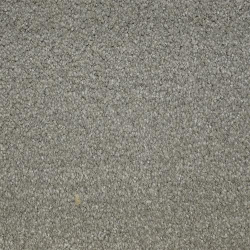 Bichon Arrowhead 84657