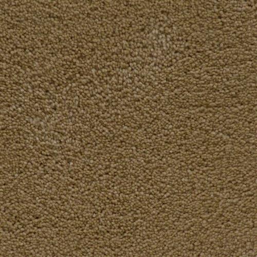 Maple Wood
