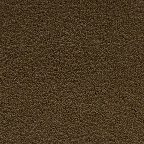 Cabriolet Brown