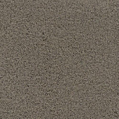 North American Grey