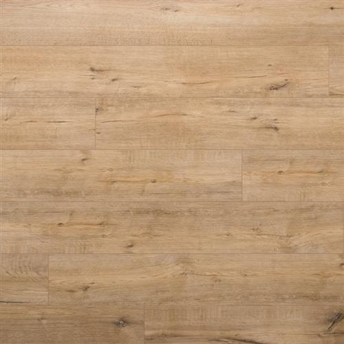 Evoke Flooring Vigor Faye Waterproof Flooring Showcase Wood