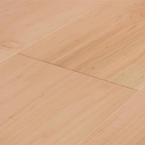 Tempo by Abode Flooring - Maple Natural