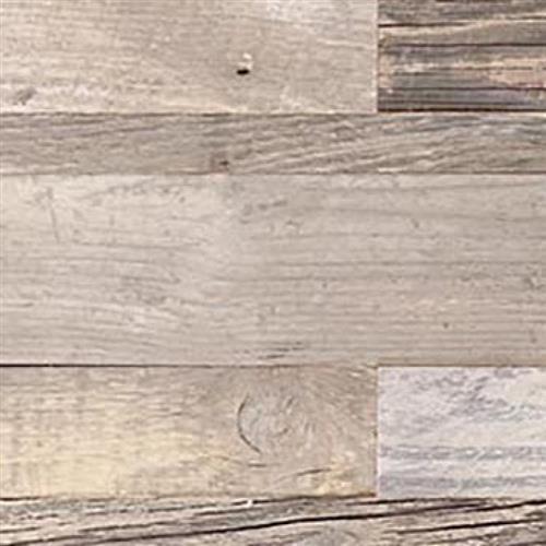 Tavern Mountain Pine - 12X48