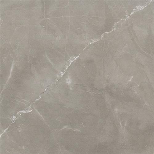 Amani Grey - Polished