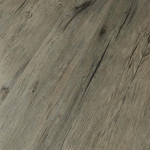 Driftwood Pine