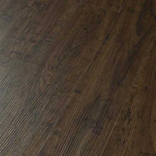 Chocolate Oak