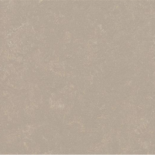 Fossil