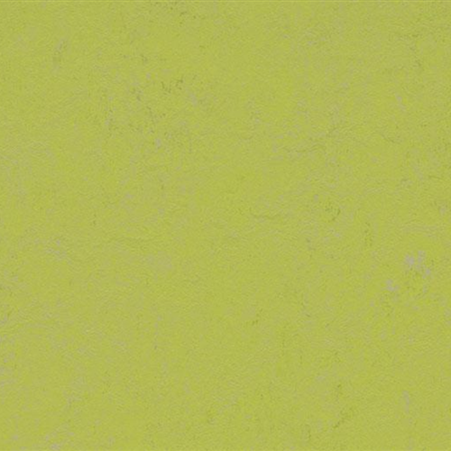 Marmoleum Concrete by Forbo Flooring (Linoleum) - Green Glow