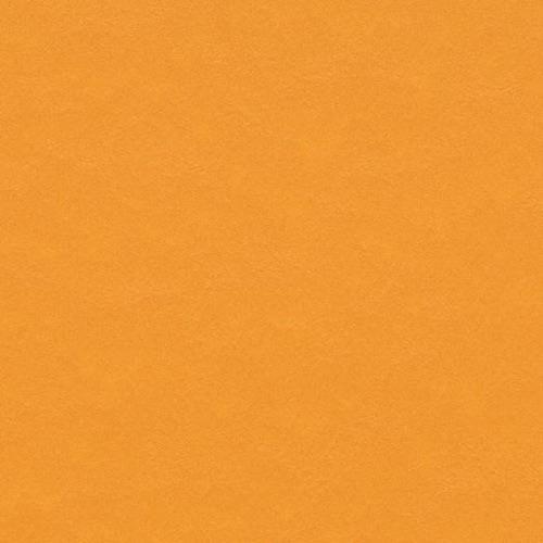 Pumpkin Yellow