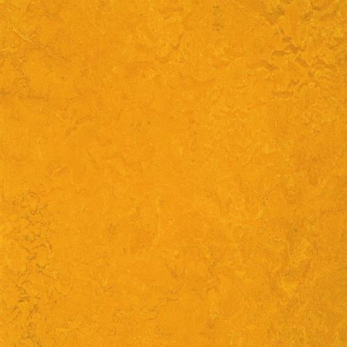 Marmoleum Fresco Golden Sunset