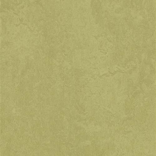 Marmoleum Fresco Avocado