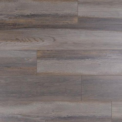 Laminate Collection Lunar Plus