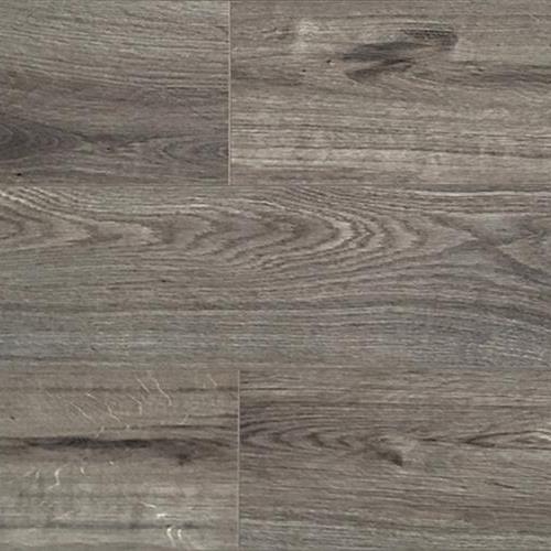 Laminate Collection Whale