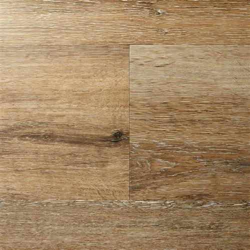 Innova Collection by Express Flooring - Sierra