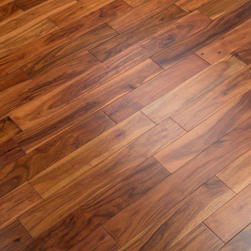 Acacia Bronze