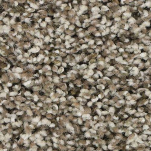 Quiet Beige