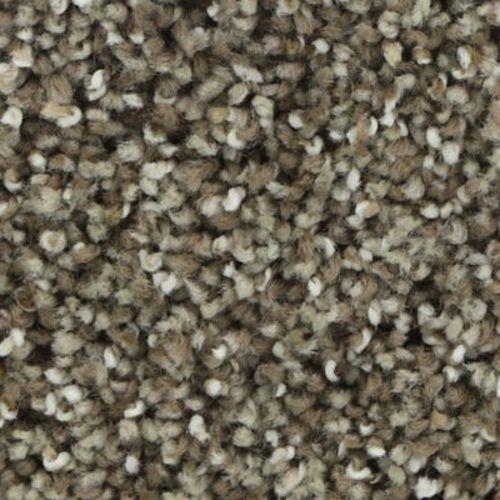 Dried Peat