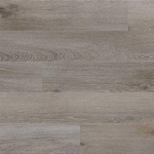 Deja New With Attraxion Pumice Washed