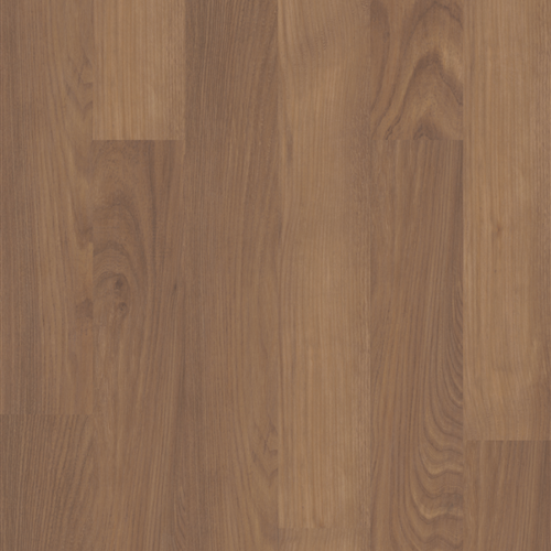 Russet Oak