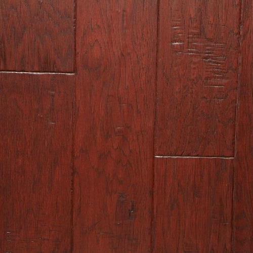 Hickory Buckeye