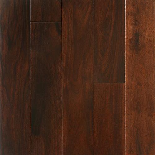 Acacia Mahogany