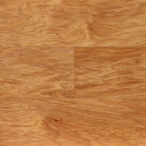 Cane Hickory