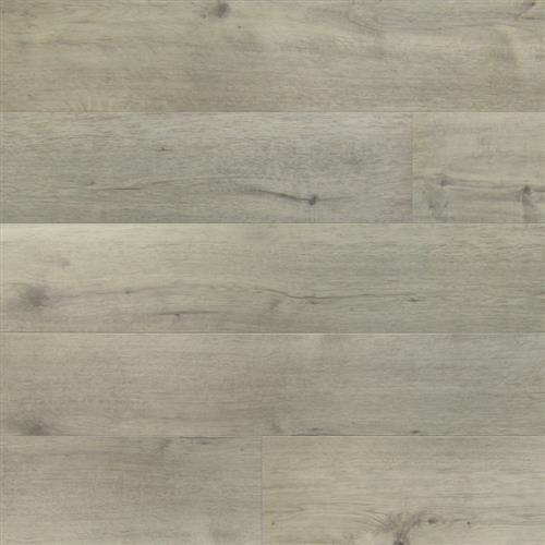 Oak Sea-Shell