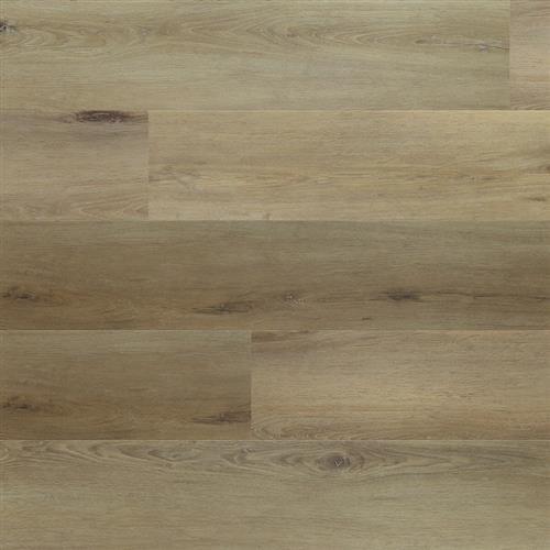 Density HD Oak Sauvignon