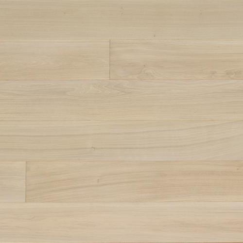 Forte  Collection by Monarch Plank - Bianco