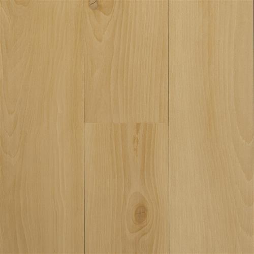 Acoustic Collection Accent Beech