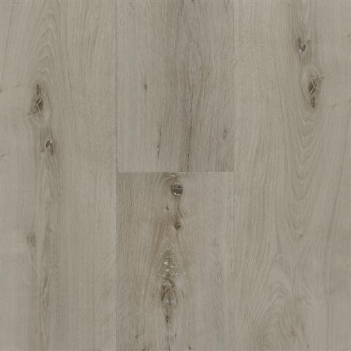 Acoustic Collection by New Centurion - Cadenza Tree-Frost