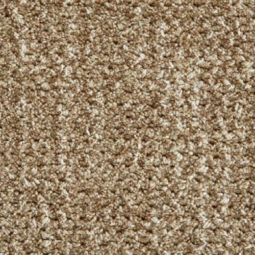 Stanton Antrim Auburn Aloe Carpet Huntington Beach Los Alamitos