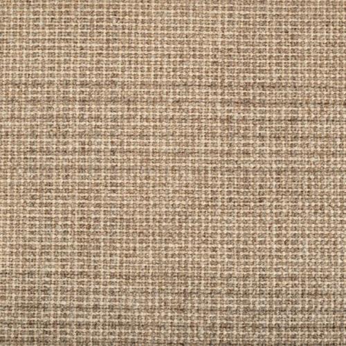 Indra Fossil by Stanton Antrim Richmond, VA Carpetland's Custom