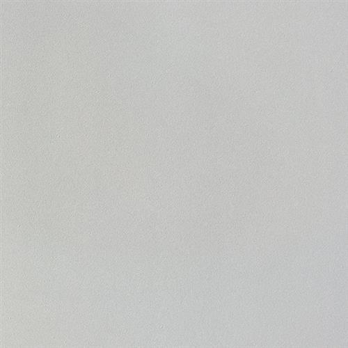 Light Grey 12”x24” Matte/Mat
