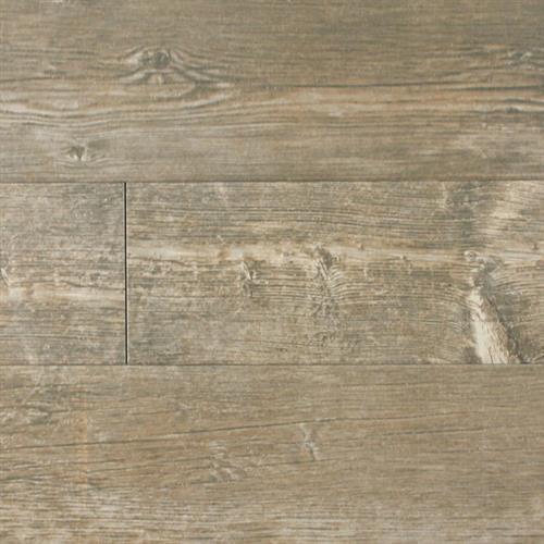 Shnier Forest Amazon (6''x24”) Tile Halifax, NS Taylor Flooring Limited