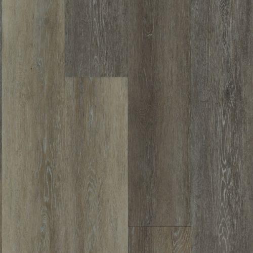Foundations Plus Collection Lanier