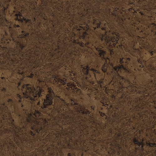 Burl Shoreline